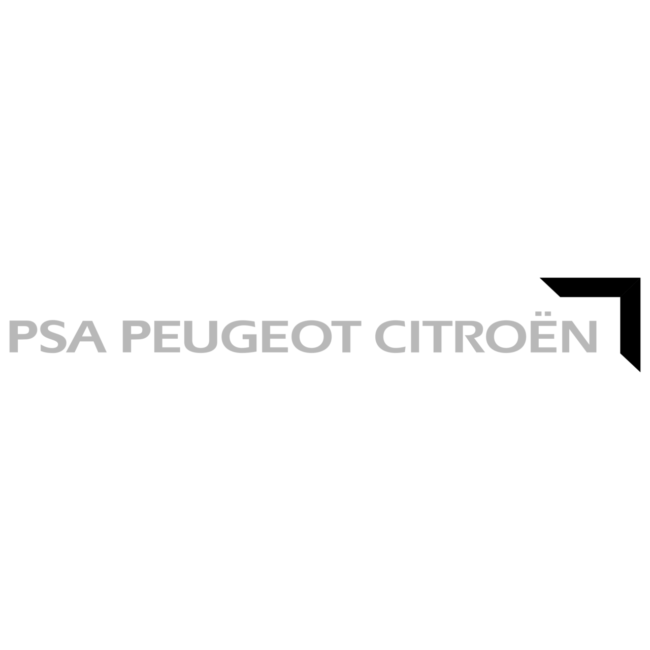 Запчасти Peugeot/Citroen