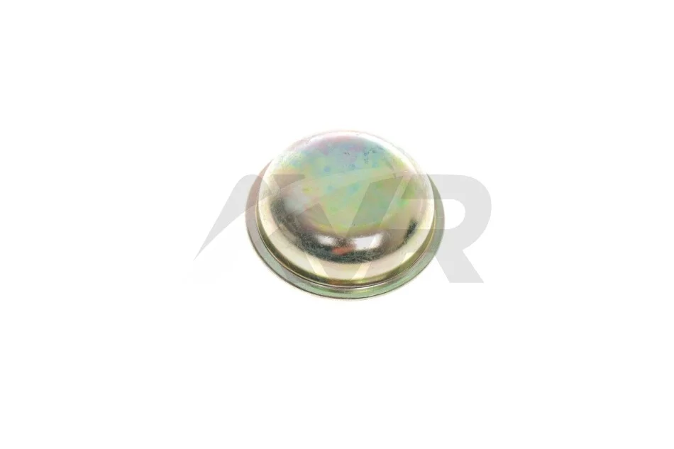 Захисна кришка маточини колеса AIC 52195 (фото 1)