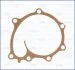 Прокладка водяного насоса Hyundai Terracan (01-06) 2.9d Ajusa AJUSA 01005400 (фото 1)