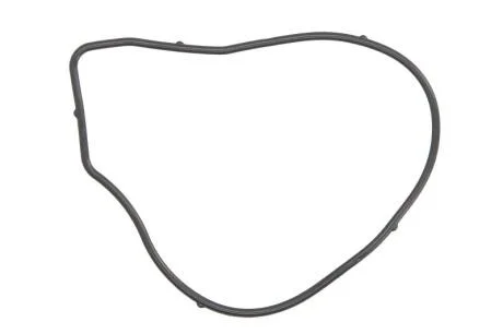 Прокладка водяного насосу CHEVROLET CAPTIVA (11-) 2.4i Ajusa AJUSA 01261900