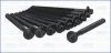 Компл. болтов ГБЦ RENAULT MEGANE I, II, III 1.4, 1.6i (10шт) Ajusa AJUSA 81024900 (фото 1)