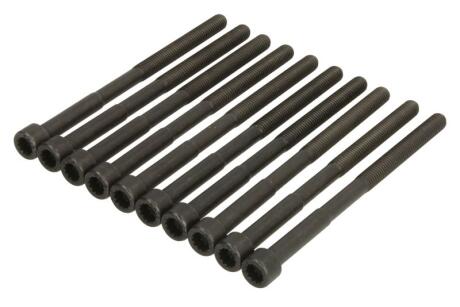 Компл. болтов ГБЦ HYUNDAI ACCENT IV 1.4i/ KIA CEED (06-12) 1.4, 1.6i (10шт) AJUSA 81026800