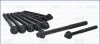 Комплект болтов с головкой системы TORX из черного металла AJUSA 81033800 (фото 1)