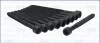 Комплект болтов с головкой системы TORX из черного металла AJUSA 81039300 (фото 1)