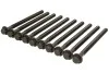 Комплект болтов с головкой системы TORX из черного металла AJUSA 81042500 (фото 1)