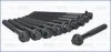Комплект болтов ГБЦ Nissan X-Trail (I,II,III)/ Renault Koleos I 2.5i AJUSA 81043000 (фото 1)
