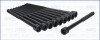 Комплект болтов с головкой системы TORX из черного металла AJUSA 81045600 (фото 1)