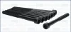 Комплект болтов с головкой системы TORX из черного металла AJUSA 81052700 (фото 1)