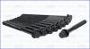 Компл. болтов ГБЦ HYUNDAI SANTA FE III, IV 2.0, 2.2d (10шт) AJUSA 81052900 (фото 2)