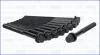 Компл. болтов ГБЦ HYUNDAI SANTA FE III, IV 2.0, 2.2d (10шт) Ajusa AJUSA 81052900 (фото 2)