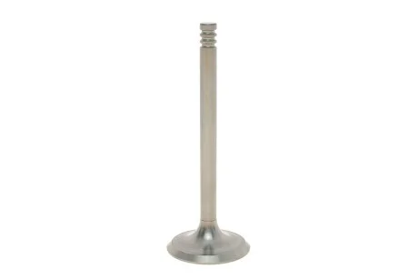 Впускной клапан AMP PAUD017-S-0-N