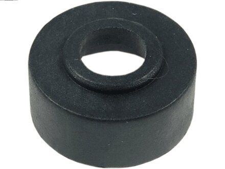 Фото 1 - ремкомплект стартера (деталі стартера, заглушки, шайби) AS-PL ARS4011 Ремкомплект стартера (деталі стартера, заглушки, шайби) AS-PL ARS4011 (фото 1)