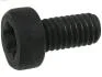 Болт з головкою системи TORX з чорного металу AS-PL SP3022S(BULK)