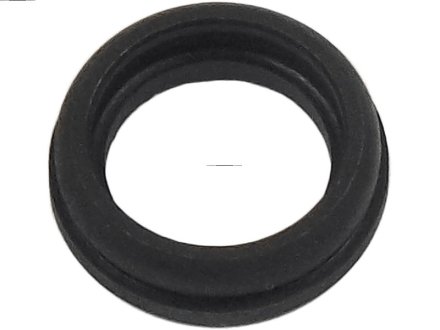 Ремкомплект стартера (детали стартера, заглушки, шайбы)) AS-PL SRS0038