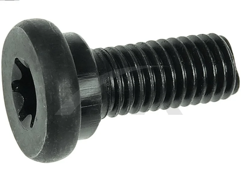 Болт з головкою системи TORX з чорного металу AS-PL SRS3060S (фото 1)