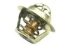 Термостат Renault Logan, Sandero, Duster, Clio, Megane, Espace 1.4-2.0i (96-) (вставка) Asam ASAM 30403 (фото 1)