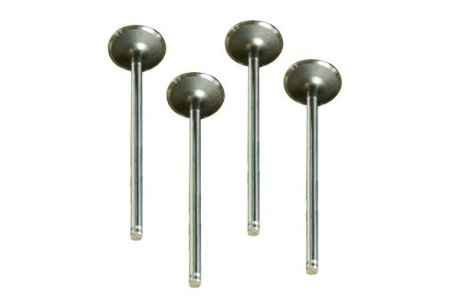 Клапан випускний Renault 19, Logan, Sandero, Megane, CLio, Kangoo 8V (4 шт) ASAM 30464