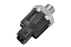 Датчик детонации Renault Fluence, Logan, Sandero, Clio, Scnic, Kangoo, Megane, Master 1.4i, 1.5d, 1.6i, 2.0i (90-) Asam ASAM 30641 (фото 1)