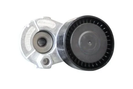 Ролик ременя генератора Renault Logan (04-), Megane (03-), Kangoo, Laguna, Sandero (08-), Duster (10-) 1,5 dCI з конд Asam ASAM 30686