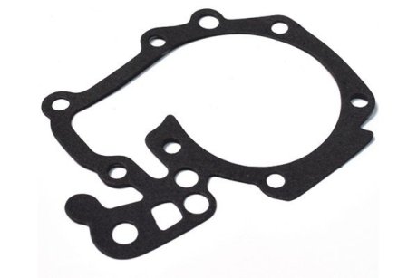 Прокладка водяного насоса Renault Logan (04-), Clio, Megane, Kangoo (97-),Sandero (08-) 1.4i/1.6i ASAM 32220