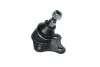 Шаровая опора праваяя VW Golf IV (98-), Bora (99-)/Skoda Octavia (97-)/ Audi A3 (96-) Asam ASAM 70752 (фото 1)