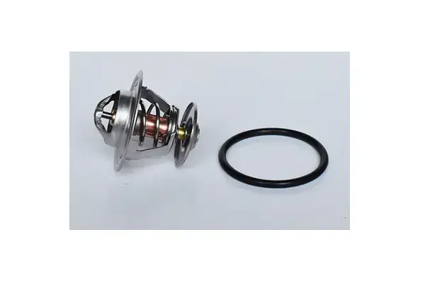 Термостат VW Golf (86-95),Jetta (86-92),Polo (82-94)/Seat Ibiza (93-96) Asam ASAM 73363 (фото 1)