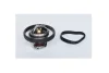 Термостат Ford Fiesta, Focus, Fusion, Mondeo 1.4, 1.6 (04-)(10-) / Opel Kadett E/Mazda 2 (03-07) Asam ASAM 73379 (фото 1)