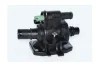 Термостат Citroen Nemo, Peugeot Bipper 1,4hdi /Ford Fiesta 1.4 TDCi (01-) Asam ASAM 73386 (фото 1)