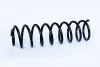 Пружина задняя VW Polo III (94-06)/Seat Ibiza II (93-02) Asam ASAM 73768 (фото 1)