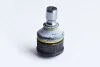 Опора шаровая Mazda 5 (CR19) 2.0 (05-10) Asam ASAM 74552 (фото 1)
