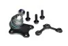 Шаровая опора левая Skoda Fabia II/VW Polo/Seat Ibiza IV, Toledo IV/Audi A1 Asam ASAM 80320 (фото 1)