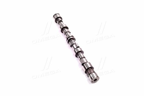 Распредвал двигателя ASHIKA 16DW004