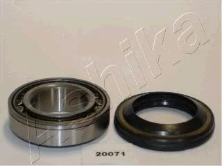 Подшипник роликовый цилиндрический ASHIKA 44-20071
