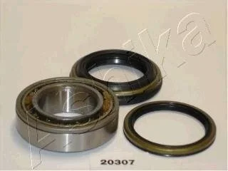 Подшипник роликовый цилиндрический ASHIKA 44-20307