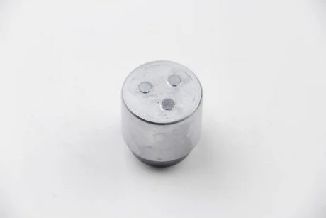 Поршень тормозного суппорта AUTOFREN D025269