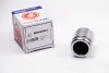 Поршень тормозного суппорта AUTOFREN D025563 (фото 1)