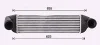 Охладитель наддувочного воздуха AVA COOLING BW4581 (фото 2)