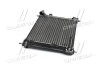 Радіатор, Система охолодження двигуна CLEVER FIT AVA COOLING DN2354 (фото 2)
