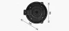 Вентилятор опалювача салону Chevrolet Captiva (06-) 2,4i 3,2i, Epica 2,0i 2,5i AVA COOLING OL8728 (фото 3)