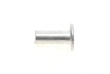 Заклепки BEGEL GERMANY BEGEL Germany ZAKL-4mm60шт