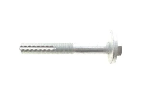 Болт з ексцентриком BELGUM PARTS BG2015
