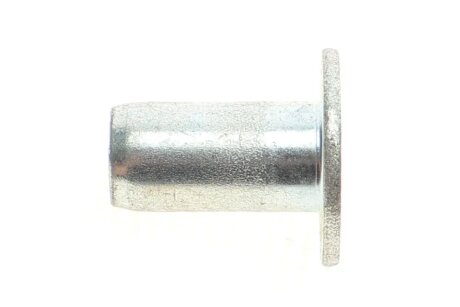 Заклепки BERAL 93058