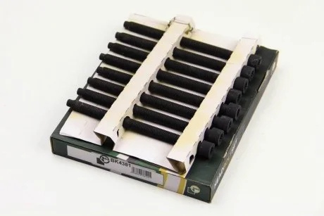Комплект болтов с головкой системы TORX из черного металла BGA BK4381