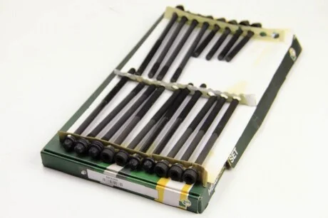 Болти головки блоку Laguna 2.2D/dT 96-01 BGA BK5366