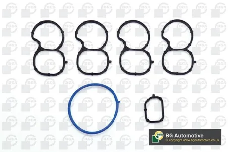 Прокладка колектора впуск (к-кт) Doblo/Ducato/Combo 1.6/2.0 MJET/CDTI 10- BGA MG0202K