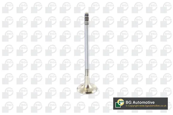 Клапан випуск BMW 1 (E81/E87)/3 (E90/E91/E92)/5 (E60/E61) 2.0 06-13 BGA V090101 (фото 1)