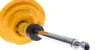 Амортизатор Bilstein RENAULT Grand Scenic/Scenic "F "03-09 "(Performance) BILSTEIN 22247568 (фото 5)