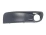 Решетка переднего бампера VW T5 03- (под противотуманку) левая BLIC 6502-07-9568925P (фото 1)