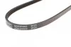 Ремень генератора поликлиновый BLUE PRINT AD03R682 (фото 3)