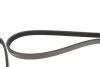 Ремінь генератора Toyota Land Cruiser 100 4.2 TD 98-07 (6PK1 719) BLUE PRINT AD04R1719 (фото 3)